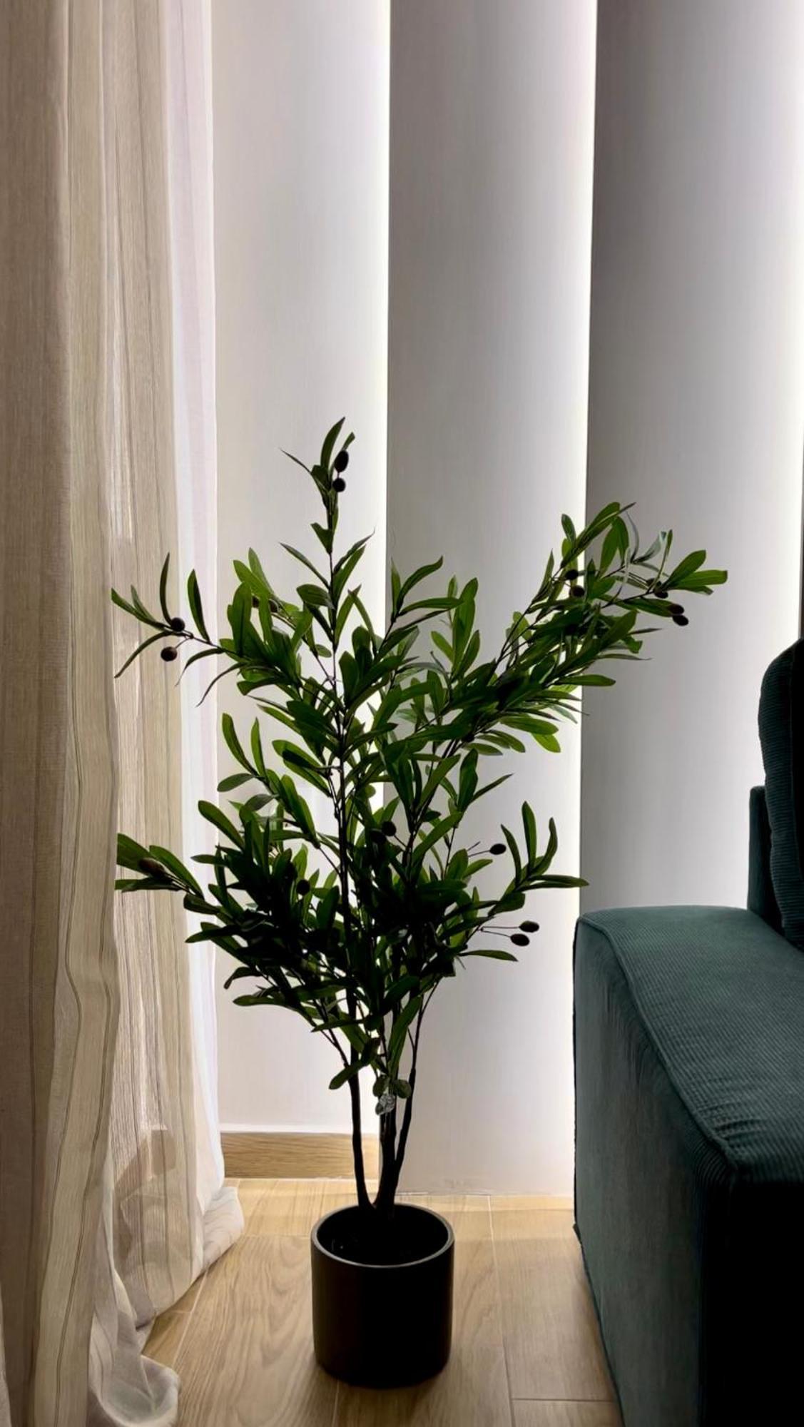 Emerald Luxury Apartments - Ath Airport Spáta 외부 사진